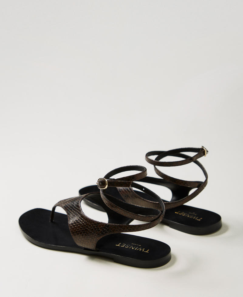 Flat leather thong sandals Chocolate Python Woman 251TGT170_12383_03