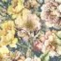 Floral creponne shirt Indigo Blue/Multicolour Flowers Woman 14099_C