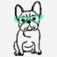 Футболка MYFO оверсайз с принтом и вышивкой Бумага Бульдог женщина 13569_C