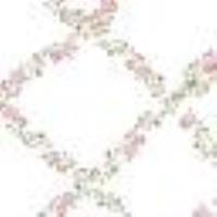 Cherry print cardigan Delicate Geometries Pastel Print Woman 13589_C