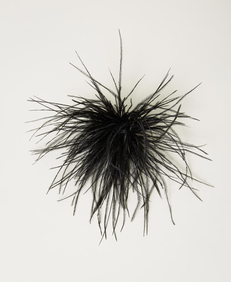 Broche avec plumes