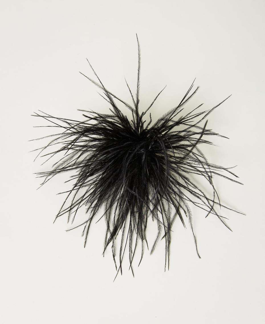 Broche avec plumes