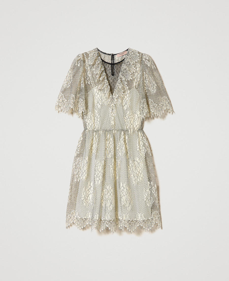 Short plumetis tulle and lace dress