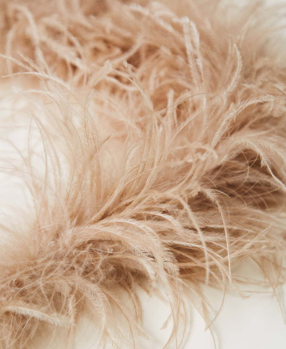 &Eacute;tole MYFO avec plumes Dull Gold Femme 242AM4018_11714_02