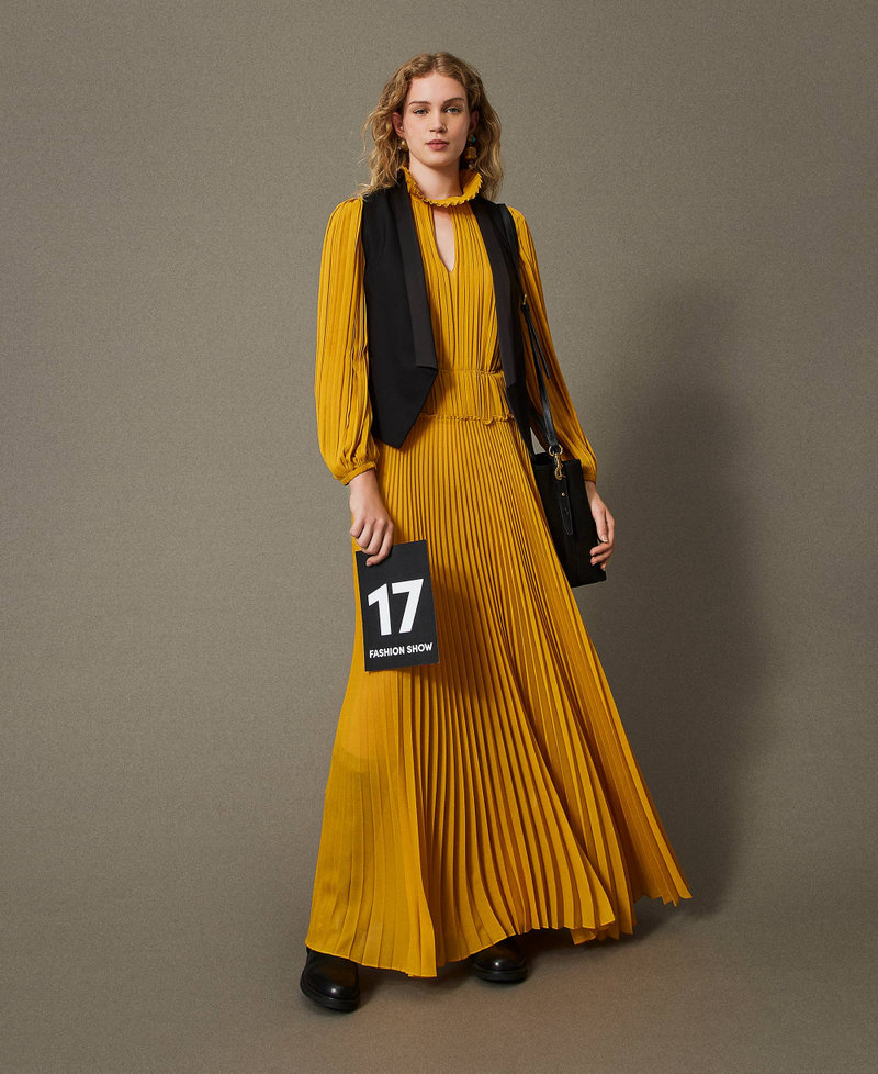 Long pleated georgette dress