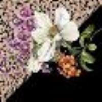 Foulard with floral print Animal Print/Black Flowers Woman 13260_C
