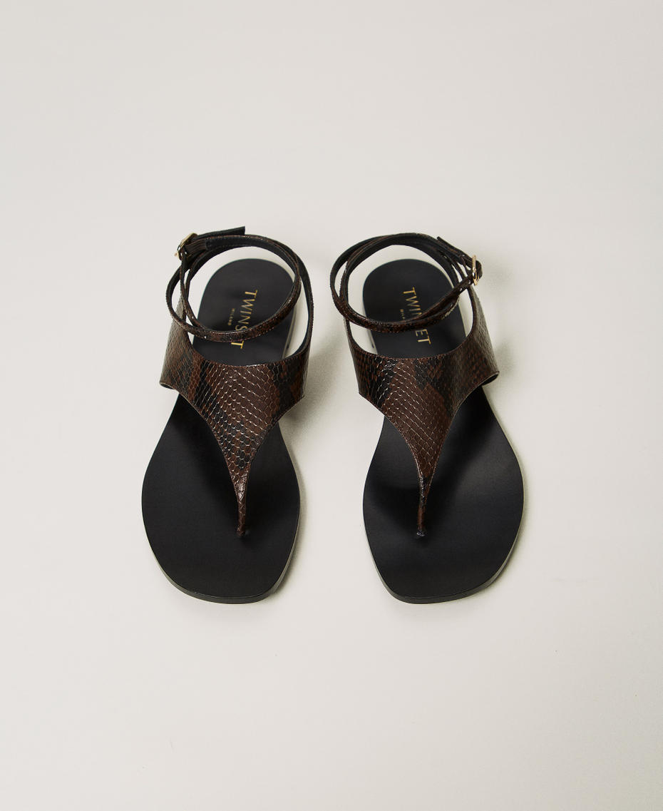 Flat leather thong sandals Chocolate Python Woman 251TGT170_12383_04