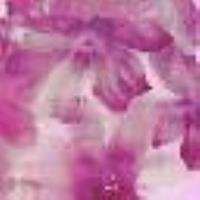 Floral stole with logo Dusty Magenta Red Flower Print Woman 13407_C