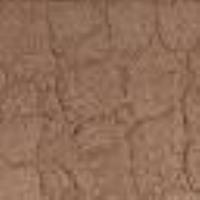 Stivaletti in suede a stampa cocco Stampa Cocco Nougat Donna 14033_C