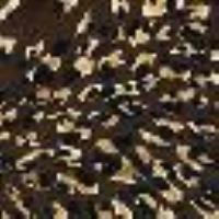 Long animal print satin dress Brown/Gold Animal Print Woman 13873_C