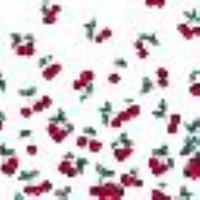 Cherry print stole White/Red Cherries Degrad&egrave; Woman 13503_C