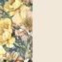 Pullover aus Wollmischung mit Print Flowers-Print / Perlmutt Frau 14177_C
