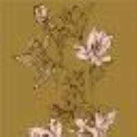 Midikleid aus Cr&ecirc;pe de Chine mit Blumendessin Lilienprint Shiny Oil / Powder Rose Frau 13929_C