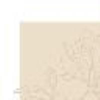 Camiseta est&aacute;ndar con estampado y bordado Blanco &Oacute;ptico / Estampado Flor Marfil Mujer 13328_C