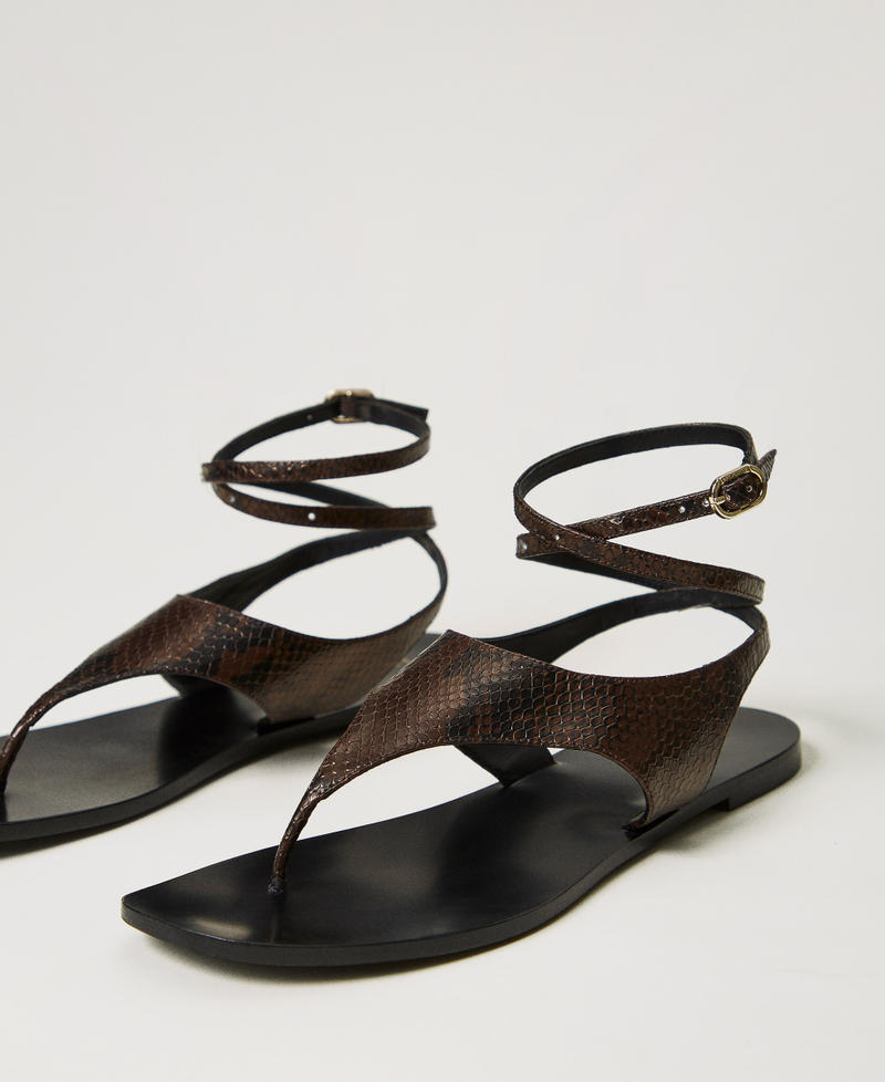 Flat leather thong sandals Chocolate Python Woman 251TGT170_12383_02
