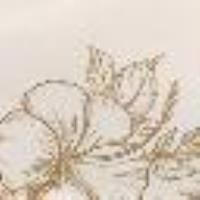 Leather trainers with floral embroidery Platinum Floral Print Woman 13543_C