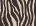 Animal print jacquard knit beanie Zebra Print Woman 12668_C