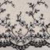 Slip br&eacute;silien en tulle brod&eacute; Broderie Nacre/Noir Femme 13843_C