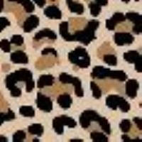 Torba shopper z pł&oacute;tna animalier Nadruk w cętki Kobieta 03537_C