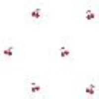 Camicia cropped in rami&egrave; con ricami ciliegie Bianco "Pergamena" / Cherries Red Embroidery Donna 13577_C