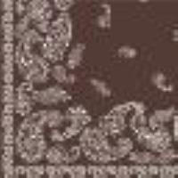 Kefiah con stampa foulard Stampa Foulard Chocolate Lab Donna 13355_C