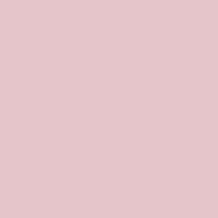 Pullover im Polostil mit Brosche Powder Rose Frau 13678_C