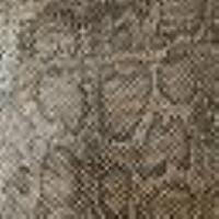 Python print midi skirt Brown/Black Python Print Woman 14058_C