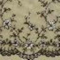 Slip br&eacute;silien en tulle brod&eacute; Broderie Vert Shiny Oil/Mocha/Nacre Femme 13898_C
