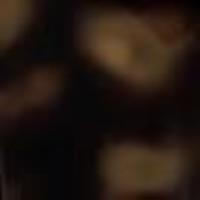 Butterfly-shaped acetate sunglasses Light Havana Woman 14155_C