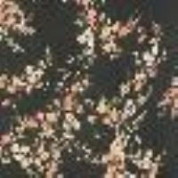 Floral cr&eacute;ponne blouse Little Flowers Black/Rose Print Woman 13700_C