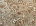 Stola jacquard a fantasia paisley Jacquard Paisley Natural Beige Donna 12654_C