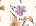 Jupe en filet avec imprimé floral Imprimé Iris Multicolore/Nacre Femme 12329_C