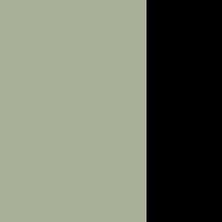 Midi froiss&eacute; satin and lace dress Two-tone Sage/Black Woman 13855_C
