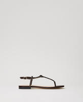 Flat thong sandals with rhinestones Chocolate Lab Woman 251TGT110_10780_01